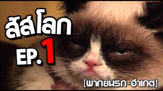 สัตว์โลก โคตรป่วน ep 1  พากย์นรก ฮาเกต Pet Talk