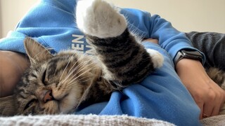 Getting ready for a nap with my beloved human—please don't disturb.