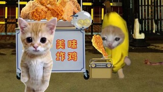 Mèo Chuối lại khóc, chỉ vì bán gà rán ở quầy hàng