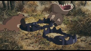 SF. Cuộc chiến gấu mèo