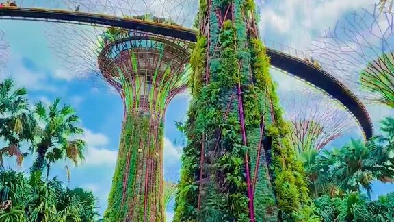 marina garden by the bay Singapore