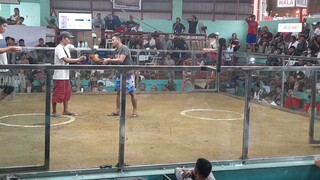 jat game cocks 2hits ulutan firt fight 1x winner  mahiyahin panalo ulit