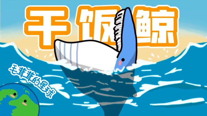 【معلومات صغيرة مميزة】 حوت الأرز الذي ظهر في شنتشن