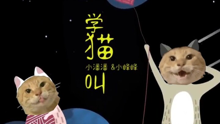 【AI tuổi già】Học mèo kêu