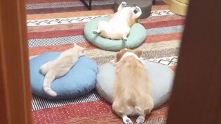 不知道在进行什么仪式，还是先把门关了吧