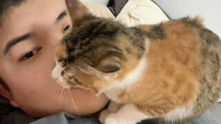 تربية قطة ملتصقة مزعجة حقًا!! (أنا فقط أتظاهر بذلك لتصوير الفيديو)