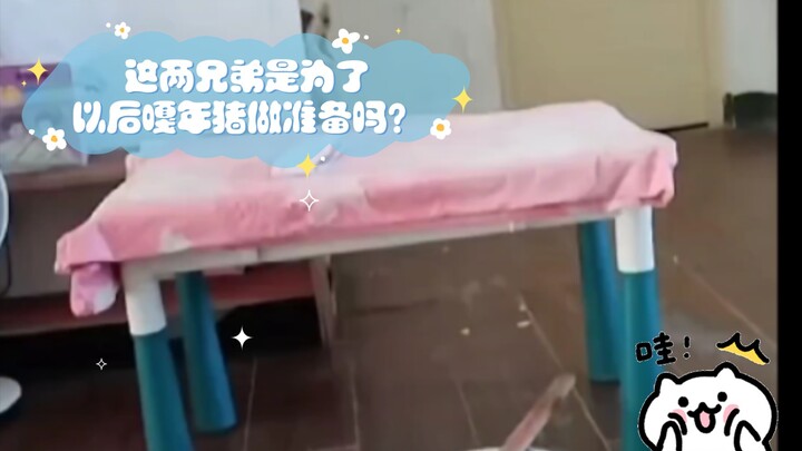 Hai anh em này đang chuẩn bị cho Tết Nguyên Đán sắp tới à? Thật sự là mèo con vất vả quá.