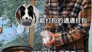 养狗人的觉悟