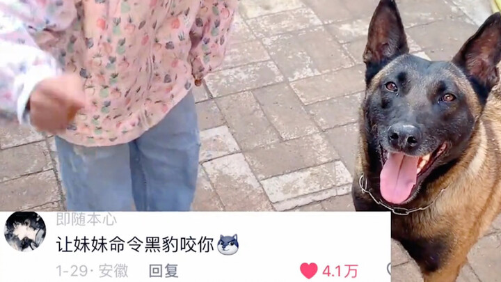 เจ้านายตัวน้อยสั่งเสือดำ ดูซิว่าเสือดำจะเชื่อฟังใคร…