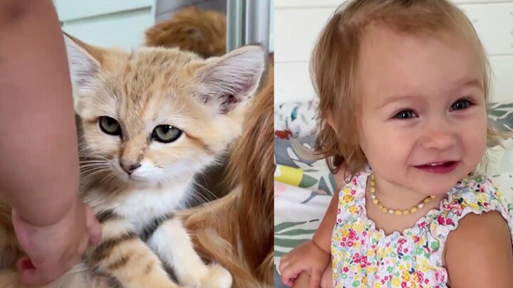 [สัตว์]ปฏิสัมพันธ์ที่น่ารักของทารกกับกลุ่มลูกแมว