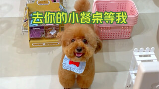 Episode 6 | Successfully Recreated Puppy-Style Fried Sauce Noodles!