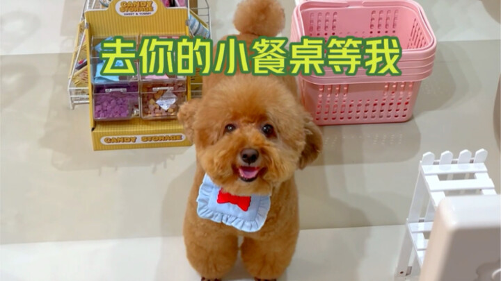 Tập 6｜Thành công tái hiện mì tương đen phiên bản cún con!