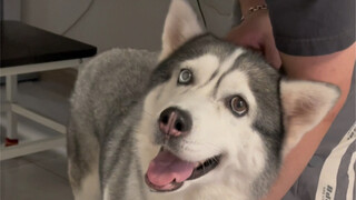 Apa lagi yang bisa kulakukan, aku juga bingung nih!