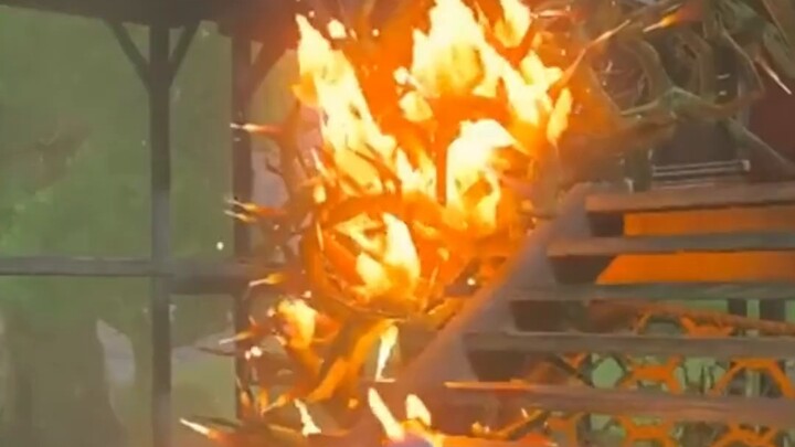 Crouching Dragon! Pair! Phoenix Chick!