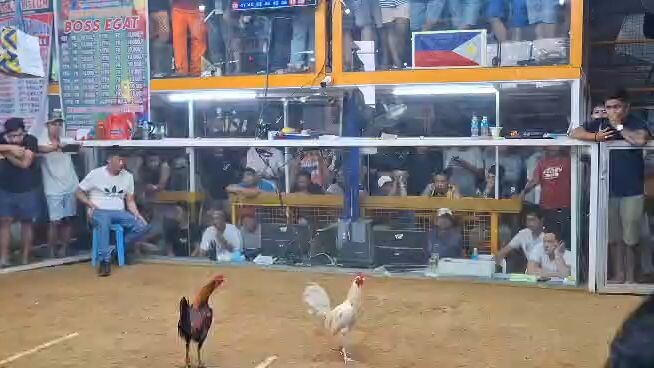 update buyer win puti