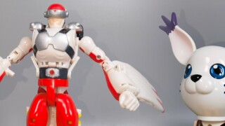 Digimon 2 Aguramon Tailmon Fusion Evolution Human-faced Warhawkmon [Messenger Model]