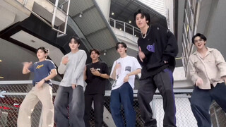 【por, auau】2025 Limited Sugar🦋 | DVI Fun Time