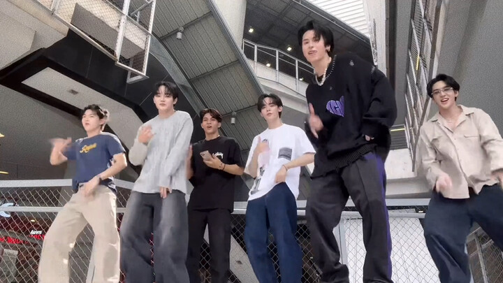 【por, auau】2025 Limited Sugar🦋 | DVI Fun Time