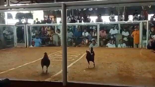 1st entry 2nd fight loss 2HITS ULUTAN NSQCA FEB. 11, 2024