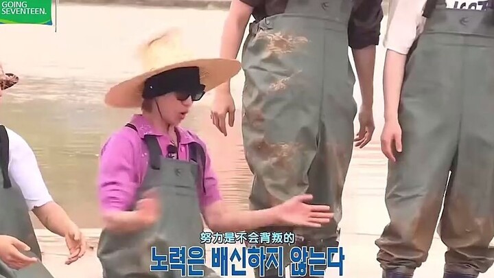 Quả nhiên Tiểu Bát đúng là “quý tử” của cả nhóm! Lúc Minghao chạy về phía DK trông đáng yêu quá, DK 