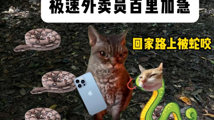 Tak ada yang bisa aku sikat habis!