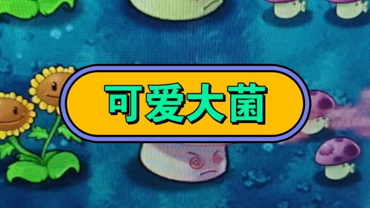 เห็ดน่ารักจัง