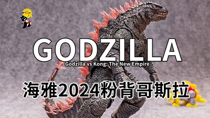 【初丁分享543】延期王来了！海雅2024粉背哥斯拉