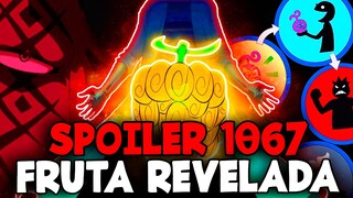 NÃO LEIA! SPOILER 1067 ONE PIECE - REVELADA A ABSURDA AKUMA NO MI DO VEGAPUNK