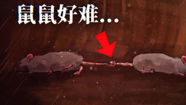 Game yang sangat menyentuh hati, seekor tikus terikat erat dengan ekor saudaranya yang telah meningg