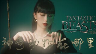 内有魔法，最后有惊吓！！《神奇动物在哪里》