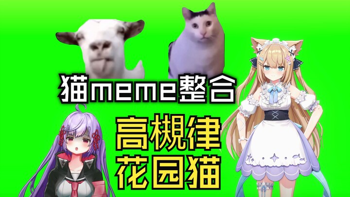 What If Cat Memes Became 3D Beautiful Girls?! [Serena from The Garden × Ritsu Takatsuki]