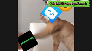 BÓC PHỐT Bilibili không có Bản quyền Xóa video thuyết minh Bilibili không Uy tín