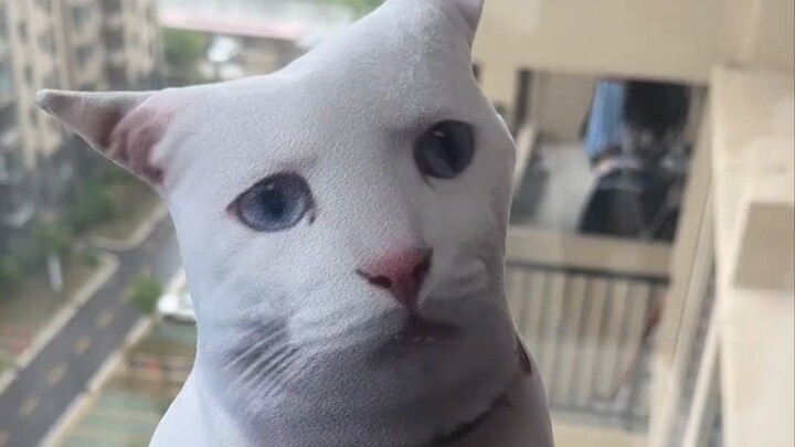 Feedback from customers