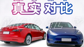 【4K】3还是Y？特斯拉真车实拍对比