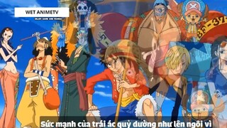 Top 7 Hải Tặc Kết Hợp Haki Với Trái Ác Quỷ _ 1