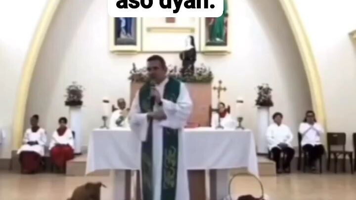 anyari?