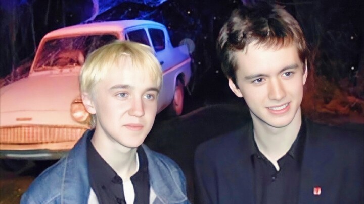 Love and HP | Their Reactions When You Announce You’re Dating Draco