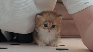 ขี้มูกมันตัวใหญ่ ต้องมีคนมาล่อให้มันหลับ
