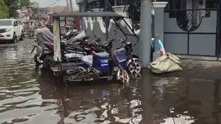 可以試試遵循小貓生活法則：1.平等地瞧不起任何人2.多睡覺3.多曬太陽4.多散步5.只對喜歡的人撒嬌6.不爽就大叫