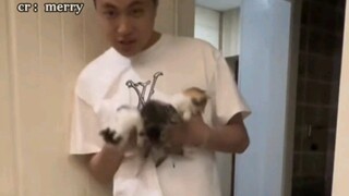 A drunk man brought home three cats. The next day, he asked, “Where did these come from?” The cats s