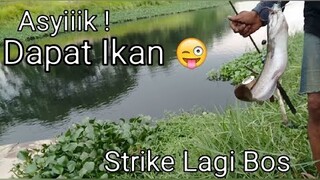 Asyik Dapat Ikan ! Strike Lagi Bos - Blands Hidayat