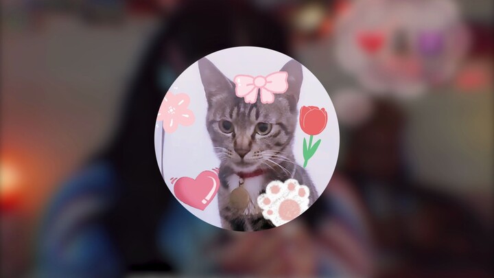 🐱Kibaamine Outfit🐱 [Haki Battle Support Creation]