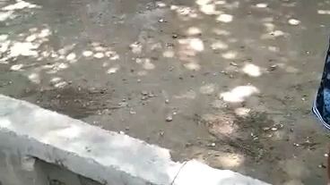 Parang nagwawalis lng si whitey