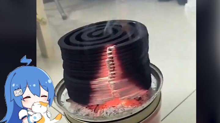 Today, it's either you die or I do!! Go ahead and bite me!!