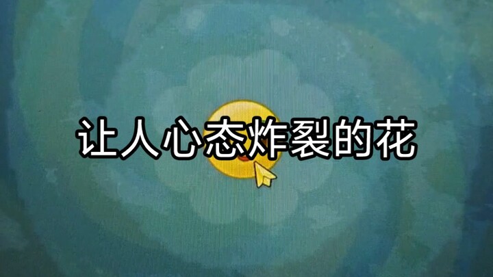 Optimize! Optimize! Optimize!