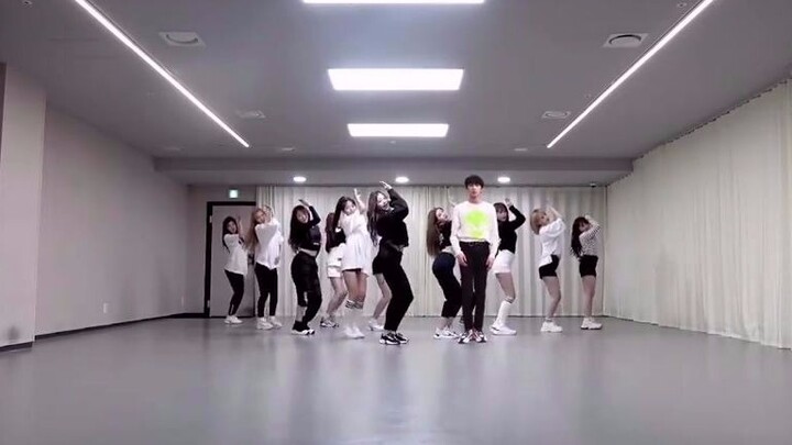 [Liu Yaowen] No sense of disobedience! On the compatibility of Liu Yaowen and the girl group~