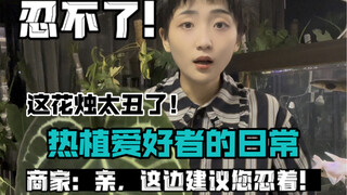 热植爱好者的日常｜大人给草人做主啊！这花烛太丑了吧！！亲亲建议您忍一下哦！