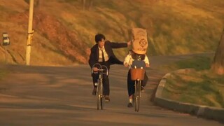 亲爱的藤井树，你好吗？