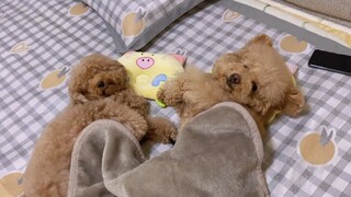 While Tutu and Sis Fell Asleep, Jerry Went So Far As!