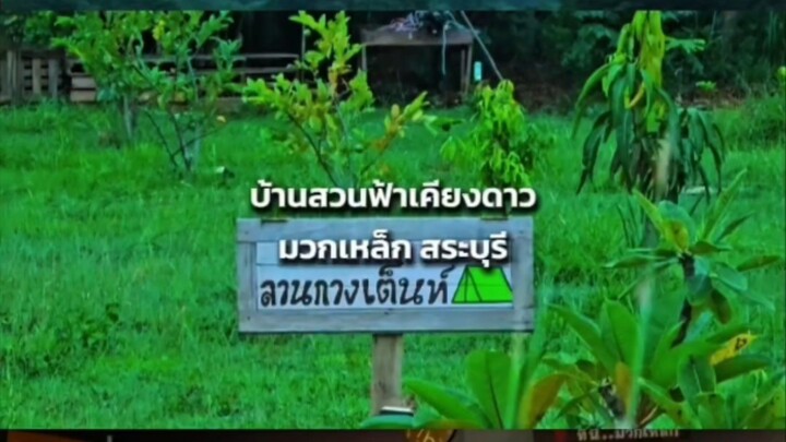พักผ่อน บ้านสวนฟ้าเคียงดาว มวกเหล็ก สระบุรี